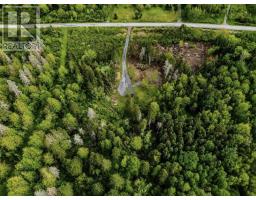 1075 Pugwash River Road, Pugwash River, NS B0K1L0 Photo 13