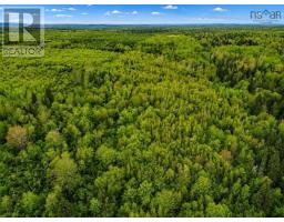 1075 Pugwash River Road, Pugwash River, NS B0K1L0 Photo 15