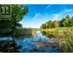 131 Leisure Point Road, Rideau Lakes, ON K0G1X0 Photo 44