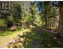 Lt 191 Pl 433 Dorcas Bay Road, Northern Bruce Peninsula, ON N0H2R0 Photo 27