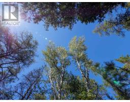 Lt 191 Pl 433 Dorcas Bay Road, Northern Bruce Peninsula, ON N0H2R0 Photo 28