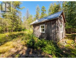 Lt 191 Pl 433 Dorcas Bay Road, Northern Bruce Peninsula, ON N0H2R0 Photo 32