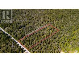 Lt 191 Pl 433 Dorcas Bay Road, Northern Bruce Peninsula, ON N0H2R0 Photo 36
