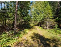 Lt 191 Pl 433 Dorcas Bay Road, Northern Bruce Peninsula, ON N0H2R0 Photo 7
