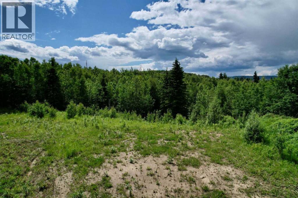 Lot 19 Mountain Springs, Rural Woodlands County, Alberta, T7S1N3