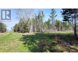 7.3 Acre Highway 4, Red Islands, NS B0E3B0 Photo 10