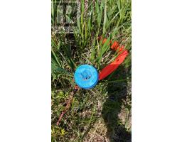 7.3 Acre Highway 4, Red Islands, NS B0E3B0 Photo 14