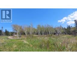7.3 Acre Highway 4, Red Islands, NS B0E3B0 Photo 6