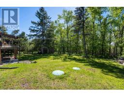 1982 County Rd 8, Kawartha Lakes, ON K0M1A0 Photo 40
