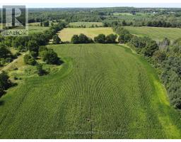 11080 First Line Nassagaweya, Milton, ON L0P1J0 Photo 10