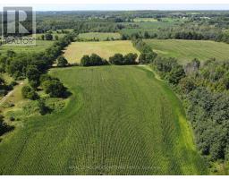 11080 First Line Nassagaweya, Milton, ON L0P1J0 Photo 11