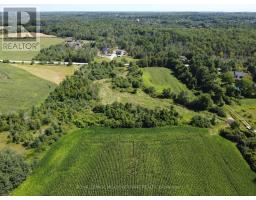 11080 First Line Nassagaweya, Milton, ON L0P1J0 Photo 14