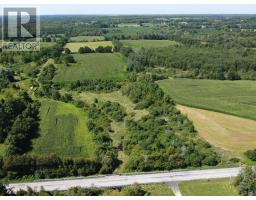 11080 First Line Nassagaweya, Milton, ON L0P1J0 Photo 17
