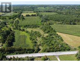 11080 First Line Nassagaweya, Milton, ON L0P1J0 Photo 18