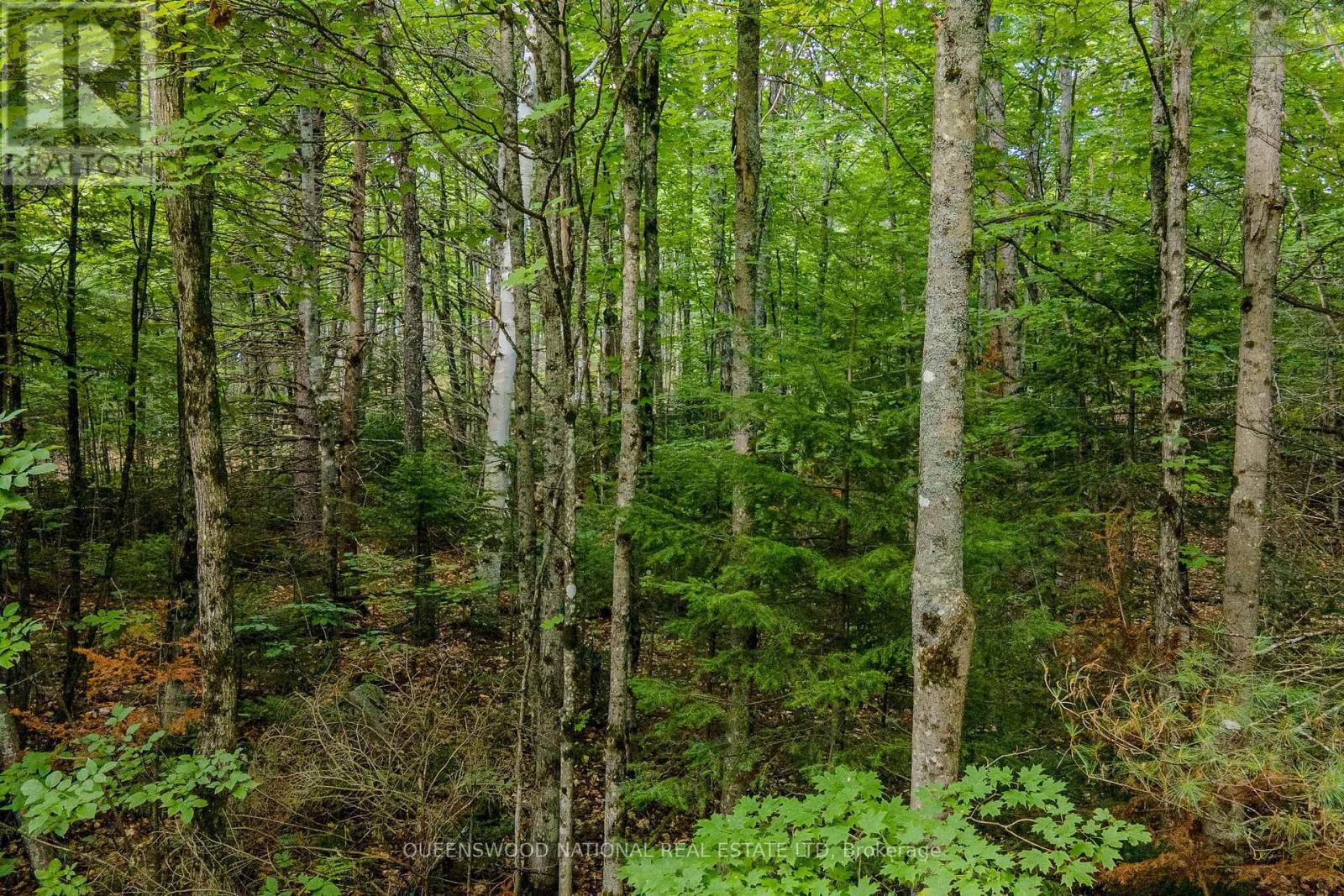 0 Nordic Lane — photo 18