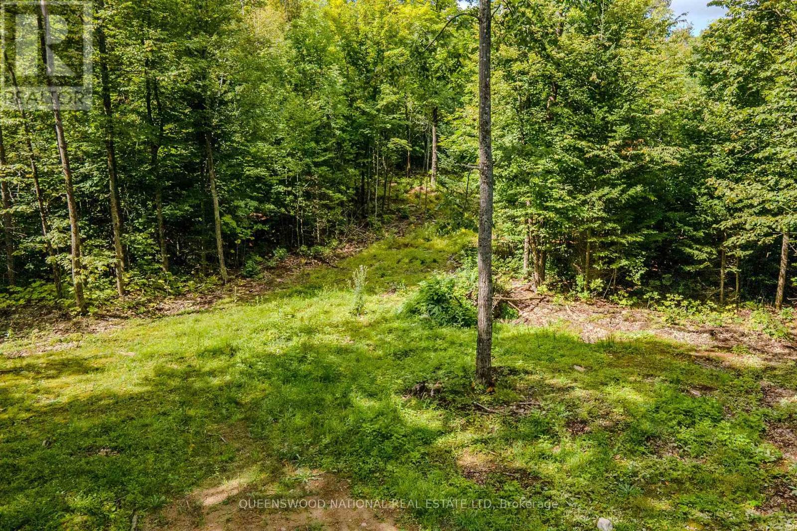 0 Nordic Lane — photo 19