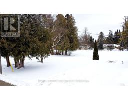 273 Pefferlaw Road, Georgina, ON L0E1N0 Photo 6
