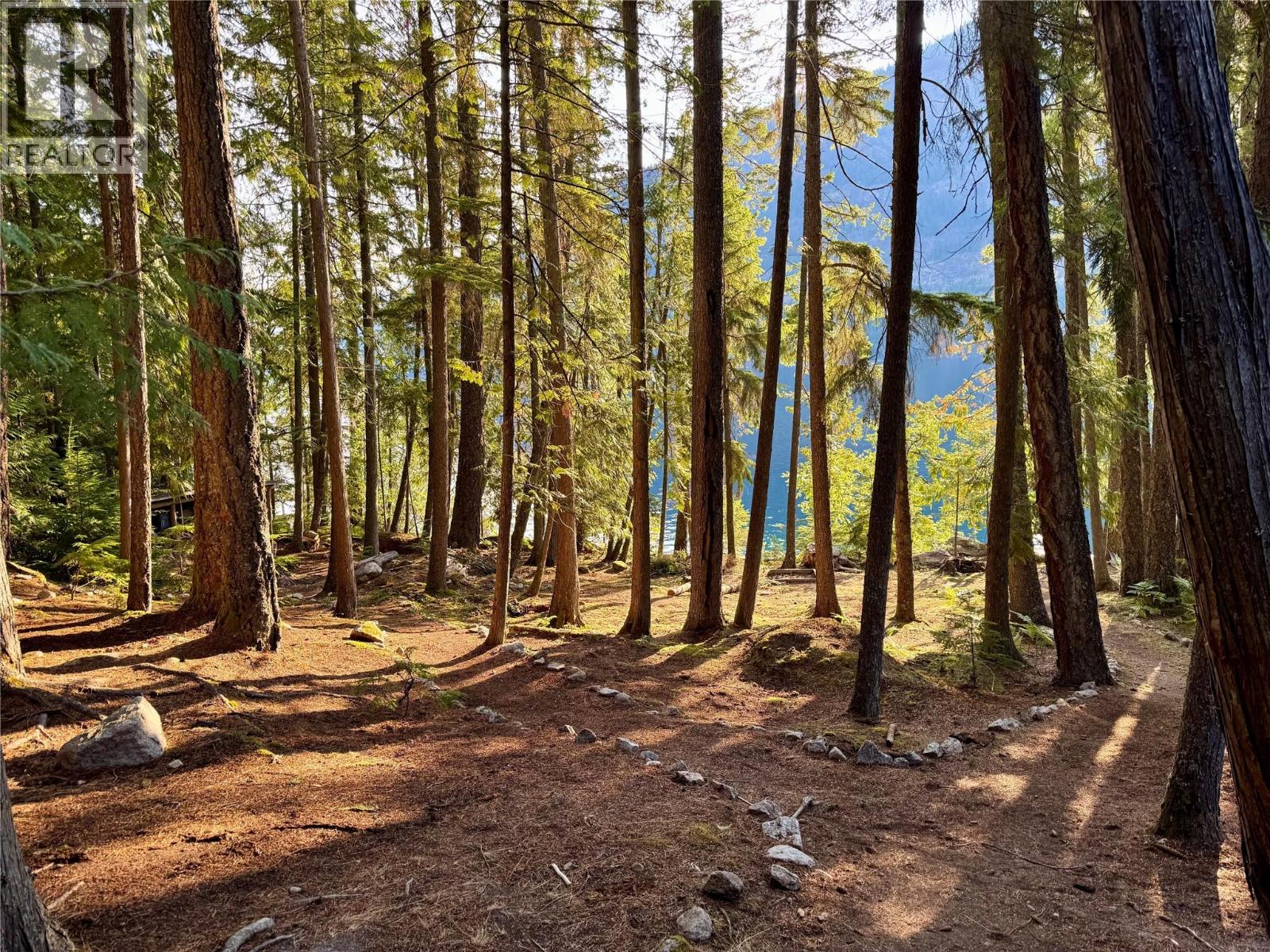 Lot 2 Slocan Lake Boat Access - 27