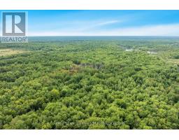 2444 Fairgrounds Road, Ramara, ON L0K2B0 Photo 12