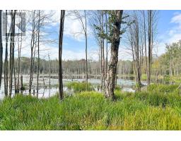 2444 Fairgrounds Road, Ramara, ON L0K2B0 Photo 19
