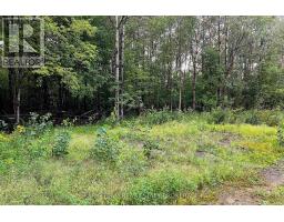 2444 Fairgrounds Road, Ramara, ON L0K2B0 Photo 20