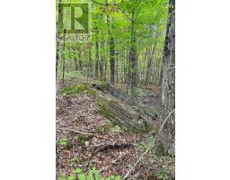 2444 Fairgrounds Road, Ramara, ON L0K2B0 Photo 21