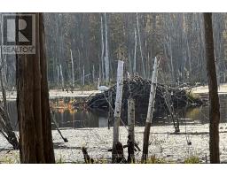 2444 Fairgrounds Road, Ramara, ON L0K2B0 Photo 23