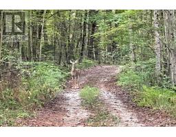 2444 Fairgrounds Road, Ramara, ON L0K2B0 Photo 24