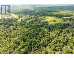 2444 Fairgrounds Road, Ramara, ON L0K2B0 Photo 8
