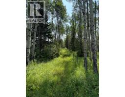 Sw15-twp 31-rge6 W5, Rural Mountain View County, AB T0M0M0 Photo 7