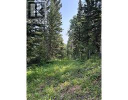 Sw15-twp 31-rge6 W5, Rural Mountain View County, AB T0M0M0 Photo 8