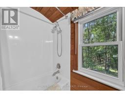 29 Doran Road, Springwater, ON L9X1L3 Photo 26