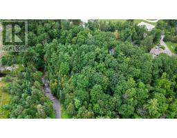 29 Doran Road, Springwater, ON L9X1L3 Photo 43