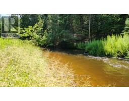 29 Doran Road, Springwater, ON L9X1L3 Photo 44