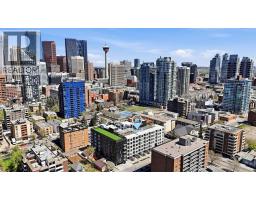 309, 310 15 Avenue SW - photo 47