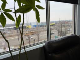 309, 316 Windermere Road Nw, Edmonton, AB T6W2Z8 Photo 19