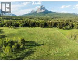 3019 Tecumseh Road, Rural Crowsnest Pass, AB T0K0M0 Photo 8