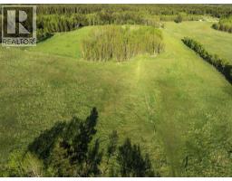3019 Tecumseh Road, Rural Crowsnest Pass, AB T0K0M0 Photo 11