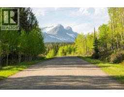3019 Tecumseh Road, Rural Crowsnest Pass, AB T0K0M0 Photo 13