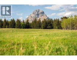 3019 Tecumseh Road, Rural Crowsnest Pass, AB T0K0M0 Photo 7