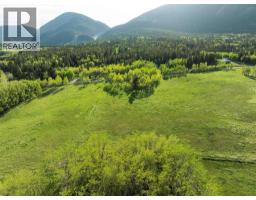 3019 Tecumseh Road, Rural Crowsnest Pass, AB T0K0M0 Photo 9