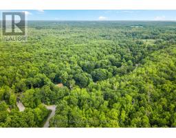 7353 Davy Drive, Ramara, ON L0K1B0 Photo 38