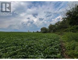 937082 Airport Road W, Mulmur, ON L9V0L6 Photo 7