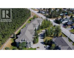 4769 Forsters Landing Road Unit# 213, Radium Hot Springs, BC V0A1M0 Photo 46