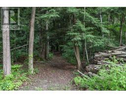 57 Pine Park Boulevard, Adjala Tosorontio, ON L0M1J0 Photo 42