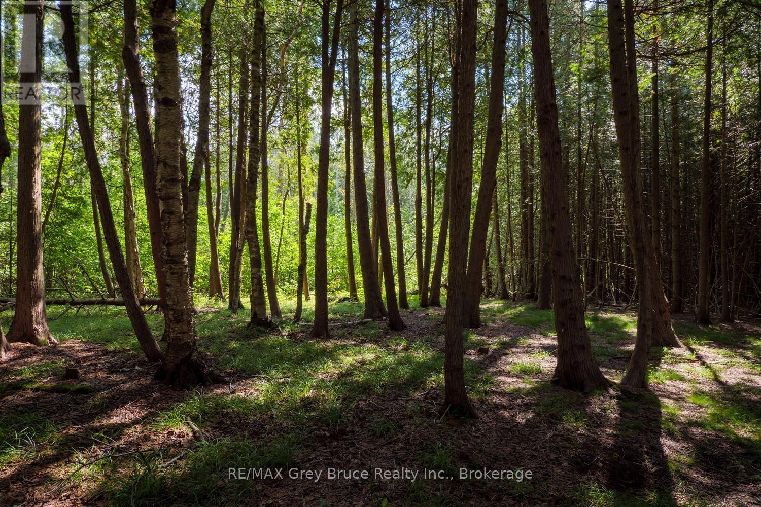 281 SHORELINE AVENUE - 31
