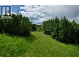 Lot 19 Mountain Springs, Rural Woodlands County, AB T7S1N3 Photo 7