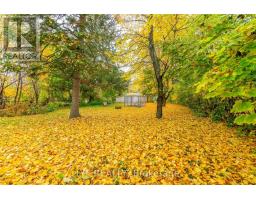 Rm 1 - 173 Maple Avenue, Richmond Hill, ON L4C2J1 Photo 18