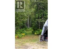 4453 Passmore Upper Road, Passmore, BC V0G2J0 Photo 60