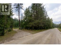 4453 Passmore Upper Road, Passmore, BC V0G2J0 Photo 57